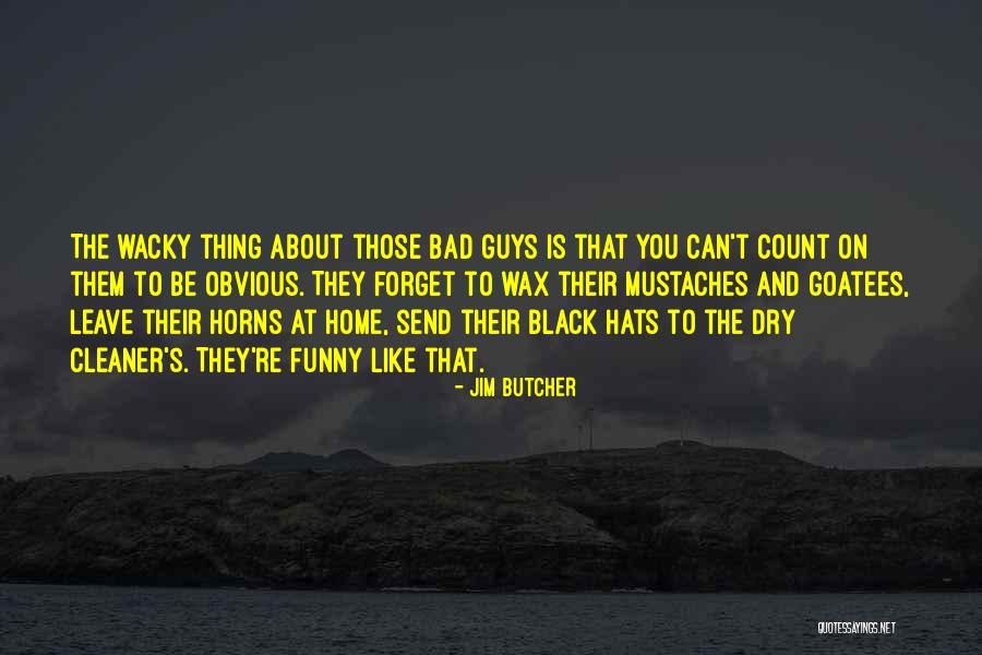 I Like Black Guys Quotes By Jim Butcher