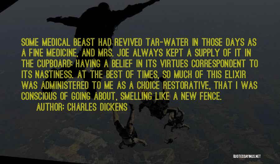 I Like Funny Quotes By Charles Dickens