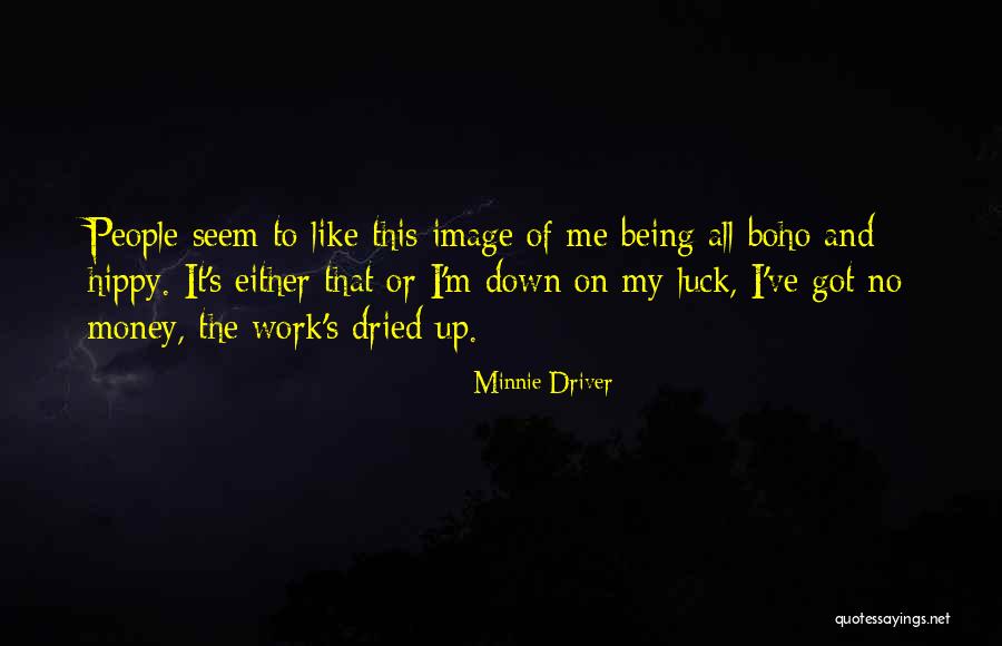 I Like Money Quotes By Minnie Driver I Like Money Quotes By Minnie Driver