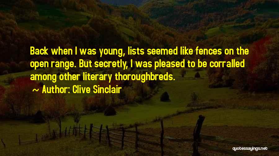 I Like Someone Secretly Quotes By Clive Sinclair