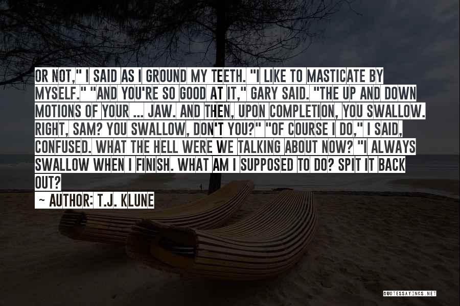 I Like Talking To Myself Quotes By T.J. Klune