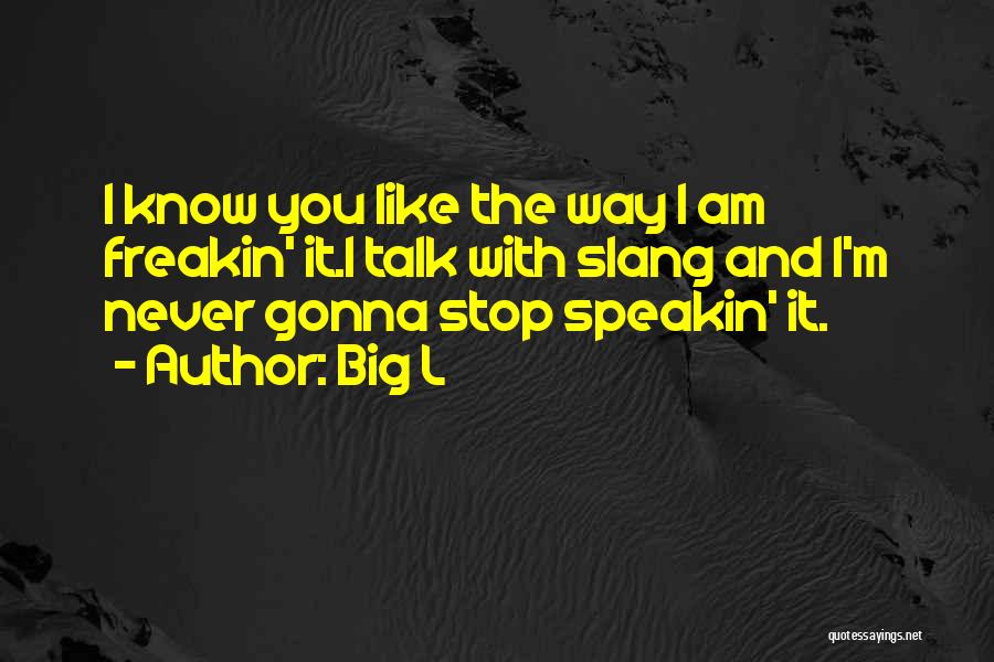 I Like The Way You Talk Quotes By Big L