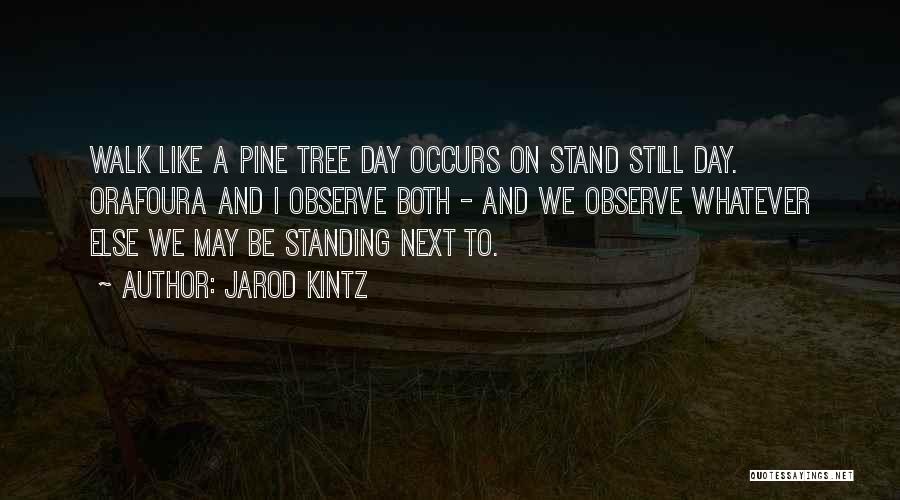 I Like To Observe Quotes By Jarod Kintz