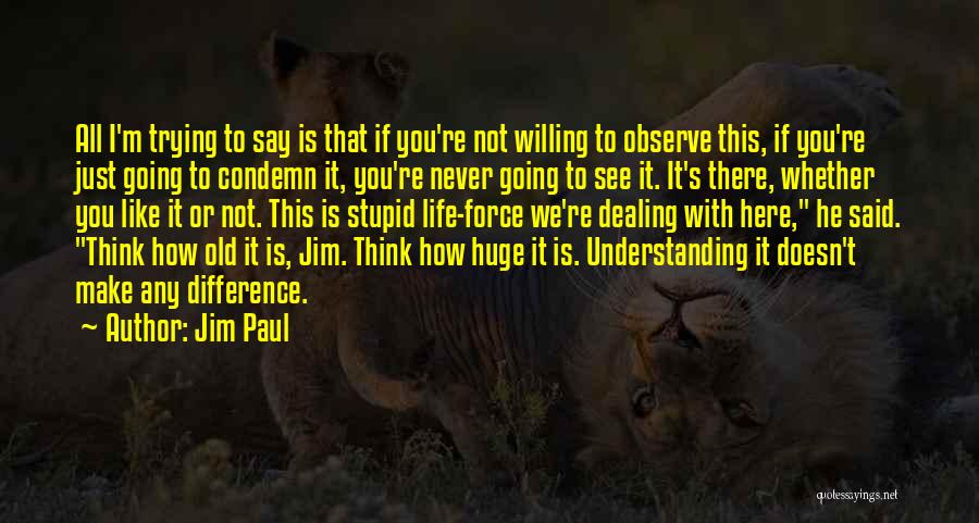 I Like To Observe Quotes By Jim Paul