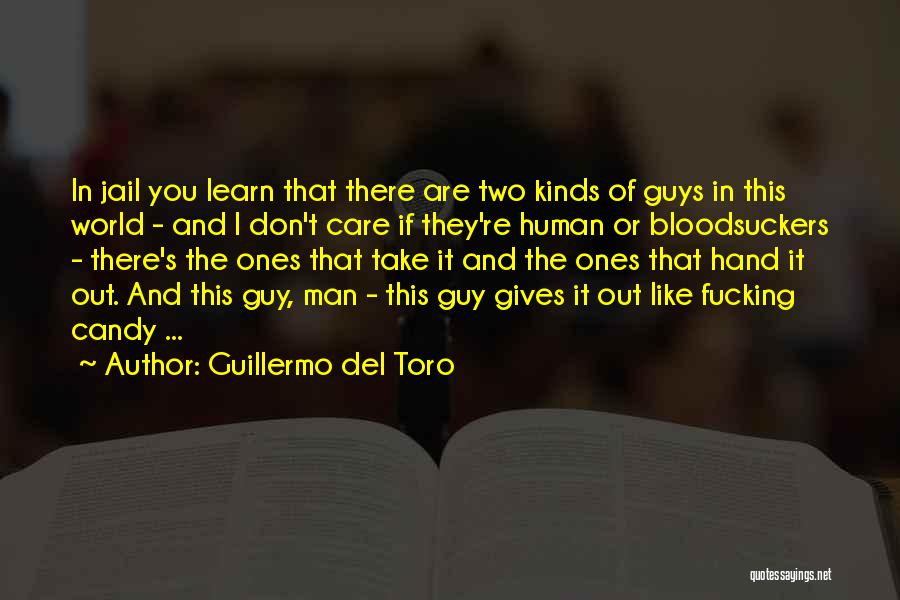 I Like Two Guys Quotes By Guillermo Del Toro