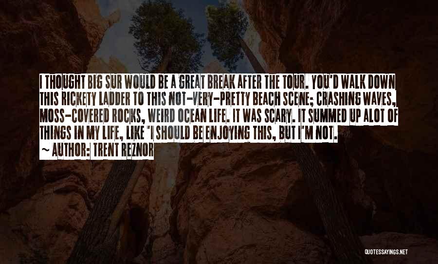 I Like U Alot Quotes By Trent Reznor