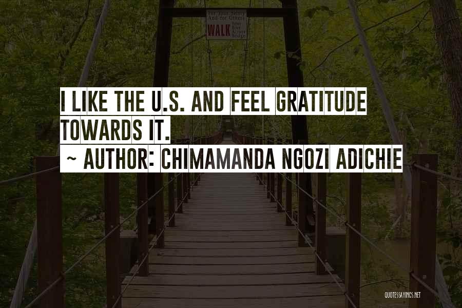 I Like U Quotes By Chimamanda Ngozi Adichie