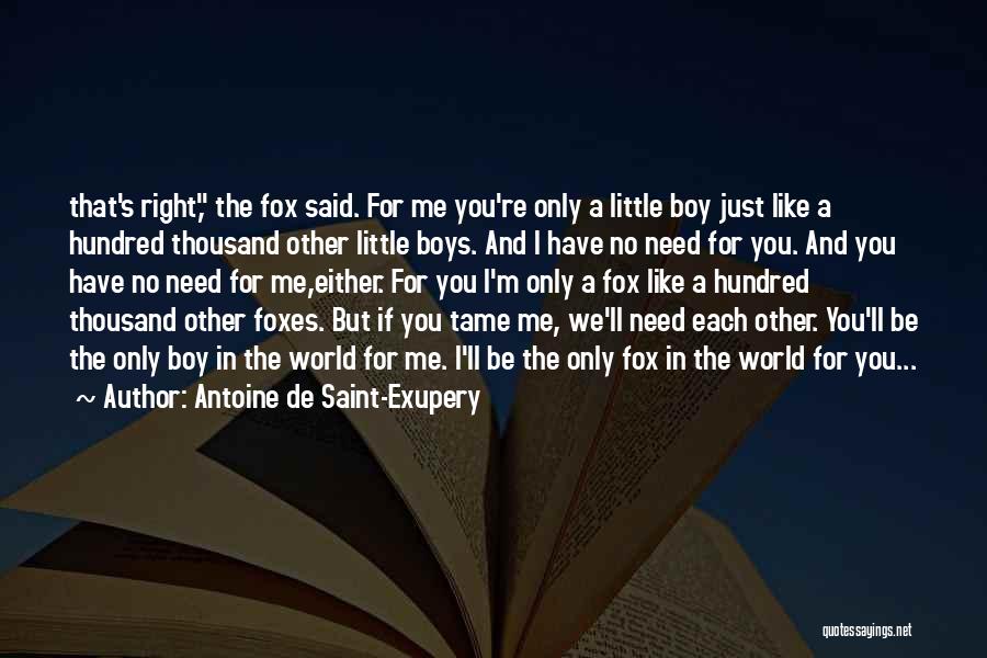 I Like You Boy Quotes By Antoine De Saint-Exupery