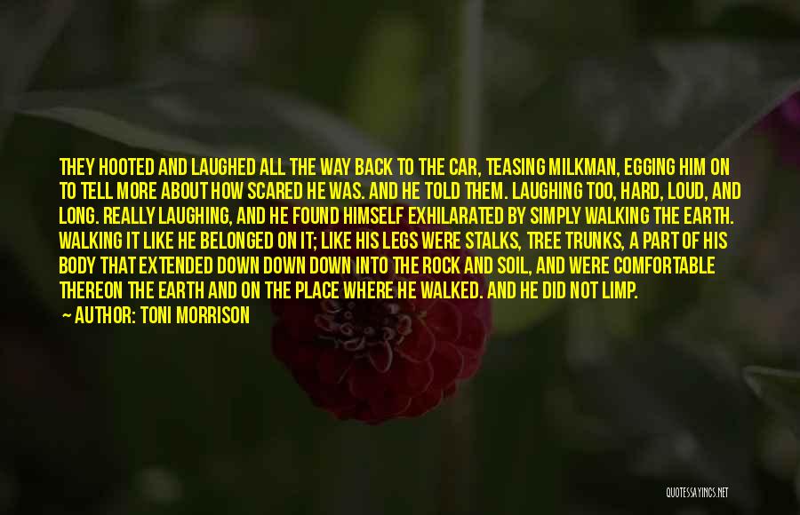 I Like You But Scared To Tell You Quotes By Toni Morrison