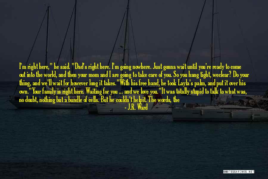 I Like You For Him Quotes By J.R. Ward