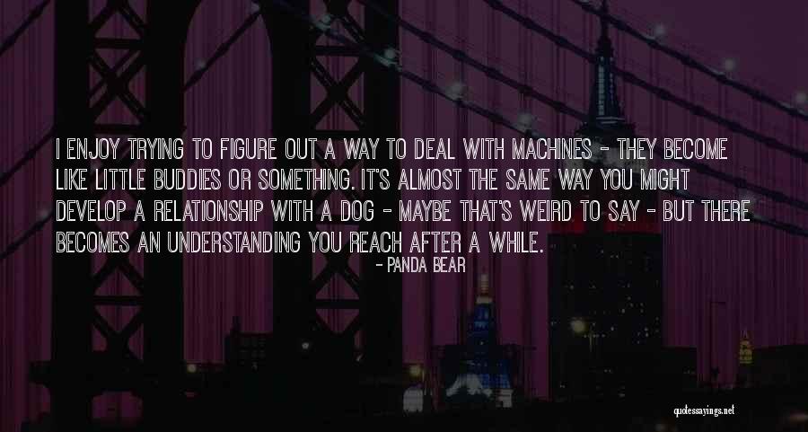 I Like You Relationship Quotes By Panda Bear