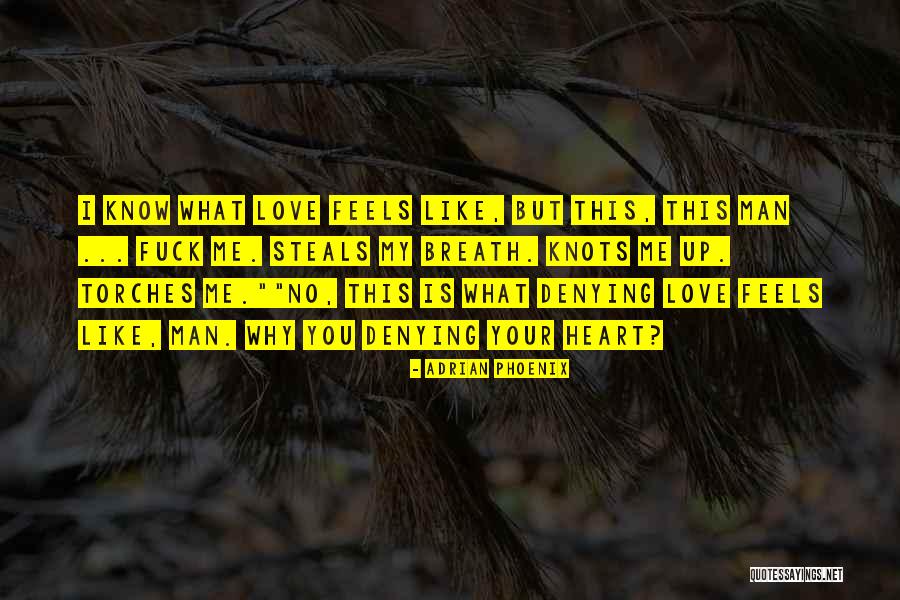 I Like You You Like Me Quotes By Adrian Phoenix I Like You You Like Me Quotes By Adrian Phoenix