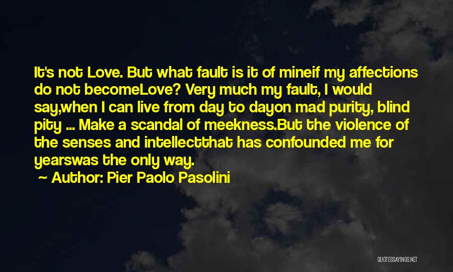 I Live For Love Quotes By Pier Paolo Pasolini