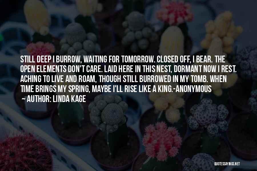 I Live For Tomorrow Quotes By Linda Kage