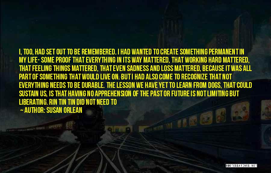 I Live In My Past Quotes By Susan Orlean