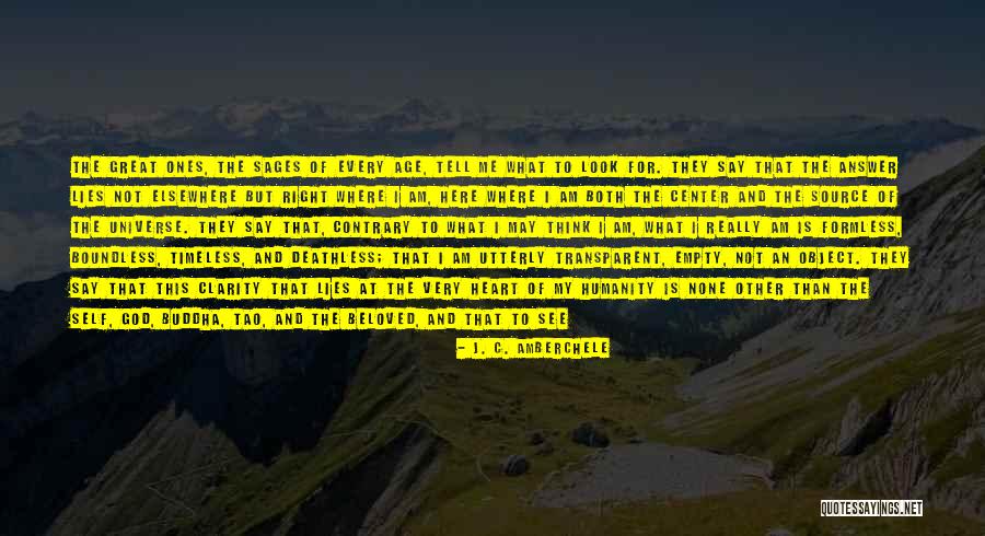 I Live In The Universe Quotes By J. C. Amberchele I Live In The Universe Quotes By J. C. Amberchele