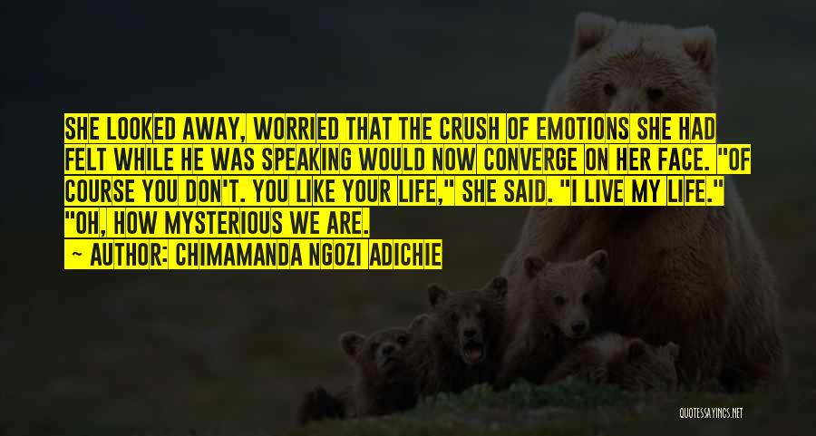 I Live Life Quotes By Chimamanda Ngozi Adichie