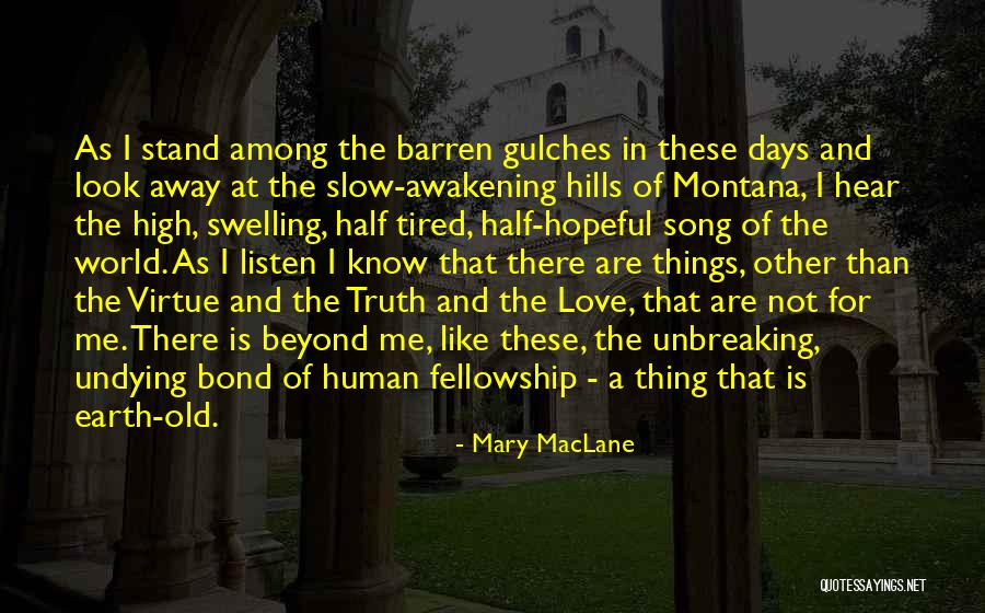 I Look Away Quotes By Mary MacLane I Look Away Quotes By Mary MacLane