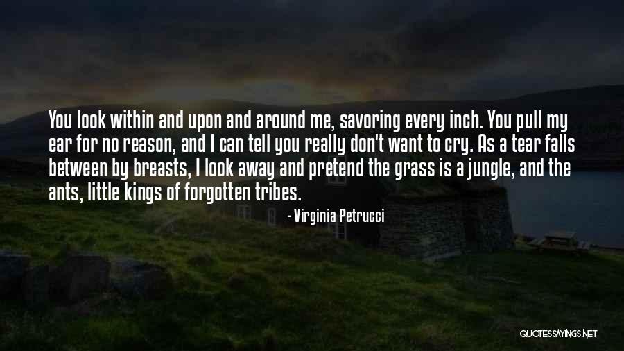 I Look Away Quotes By Virginia Petrucci