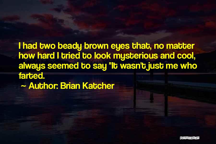 I Look Cool Quotes By Brian Katcher