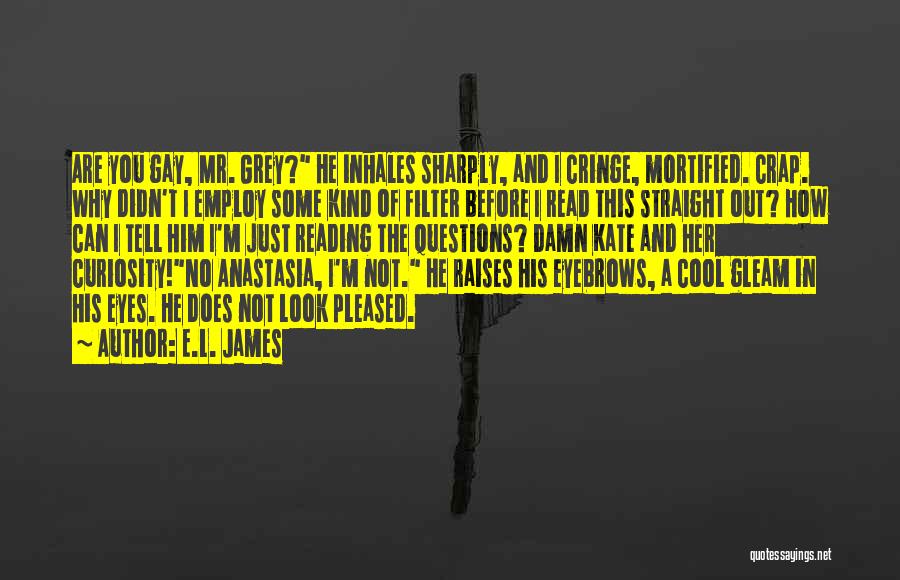 I Look Cool Quotes By E.L. James
