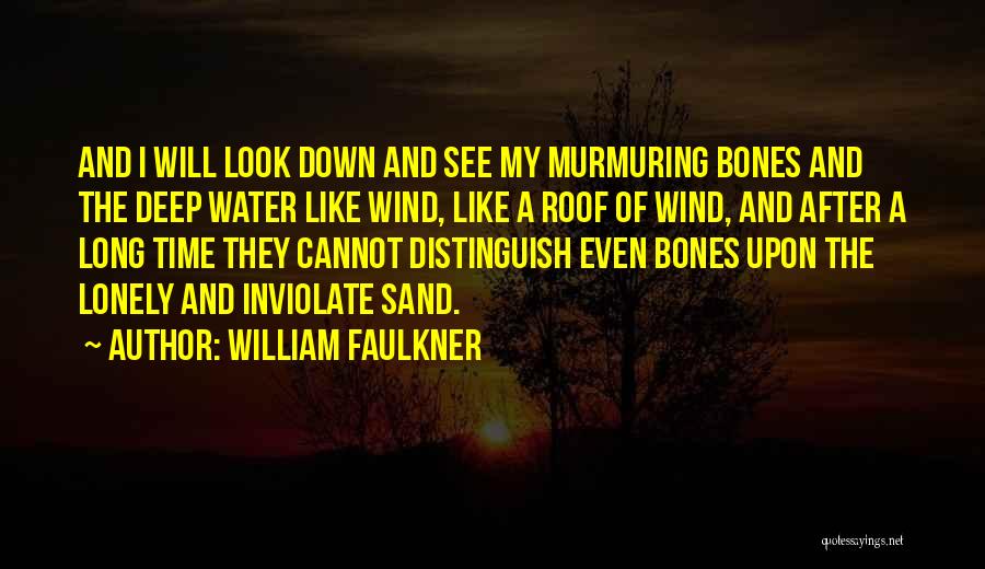 I Look Down Quotes By William Faulkner