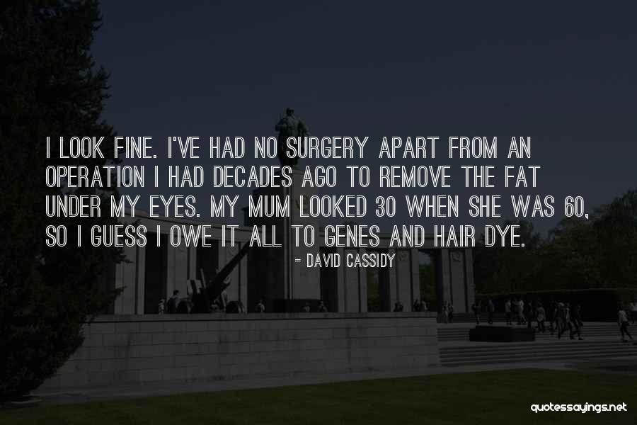 I Look Fat Quotes By David Cassidy I Look Fat Quotes By David Cassidy