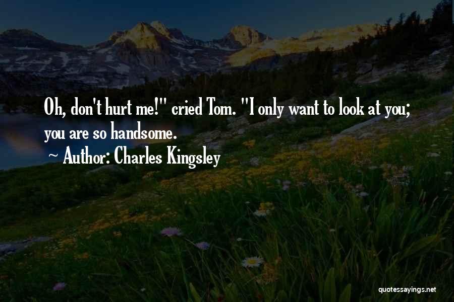 I Look Handsome Quotes By Charles Kingsley