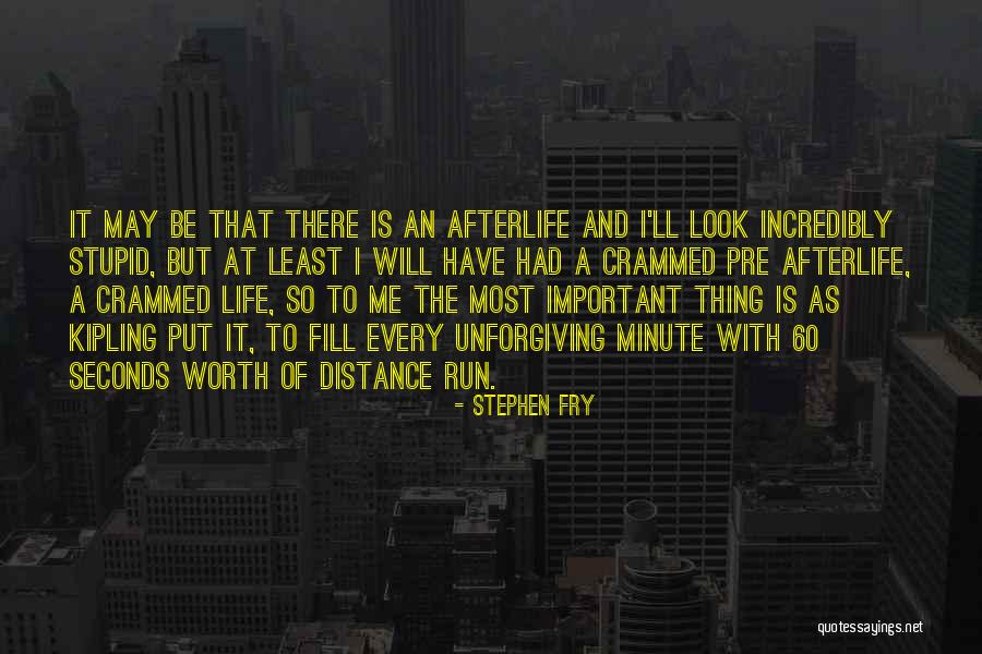 I Look Stupid But Quotes By Stephen Fry I Look Stupid But Quotes By Stephen Fry