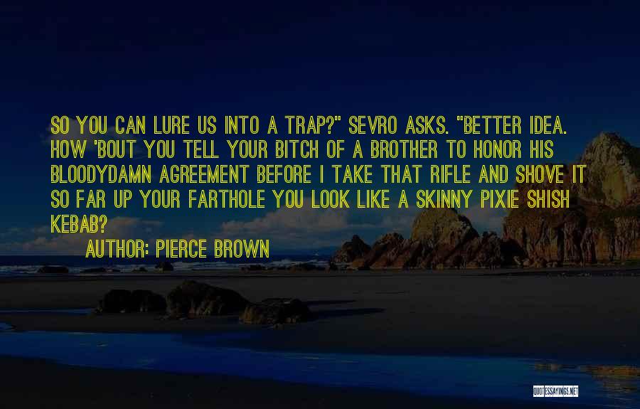 I Look Up To You Brother Quotes By Pierce Brown