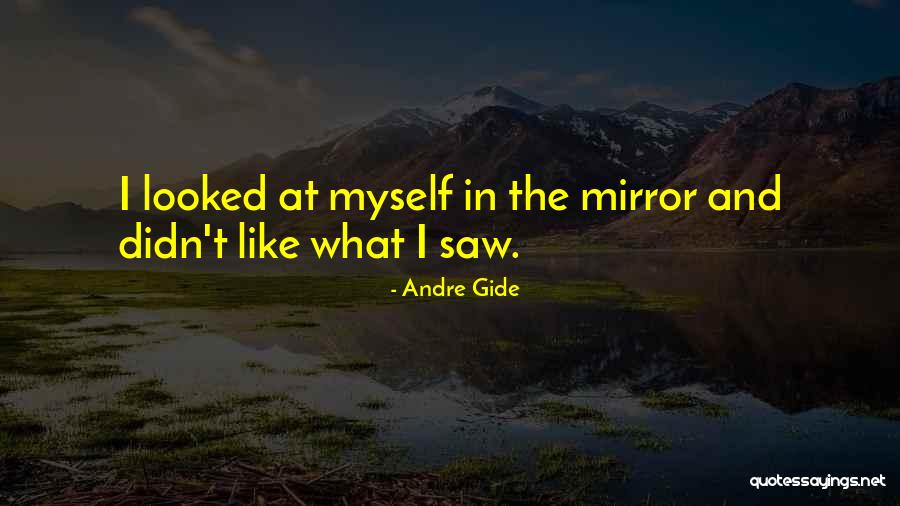 I Looked In The Mirror Quotes By Andre Gide I Looked In The Mirror Quotes By Andre Gide