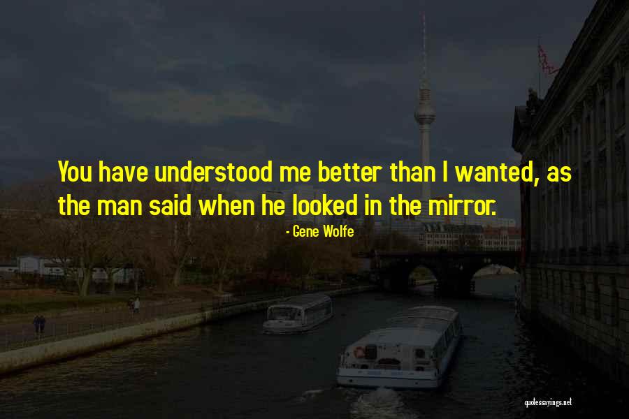 I Looked In The Mirror Quotes By Gene Wolfe I Looked In The Mirror Quotes By Gene Wolfe