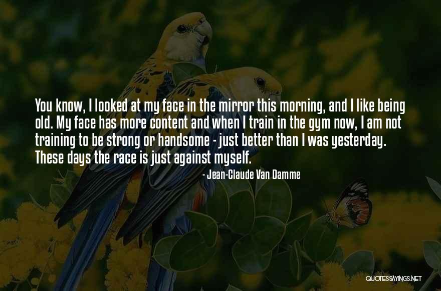 I Looked In The Mirror Quotes By Jean-Claude Van Damme I Looked In The Mirror Quotes By Jean-Claude Van Damme