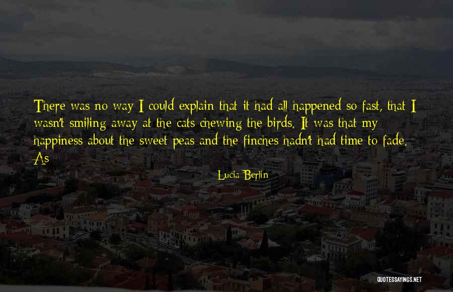 I Looked Up And I Saw My Lord Quotes By Lucia Berlin I Looked Up And I Saw My Lord Quotes By Lucia Berlin