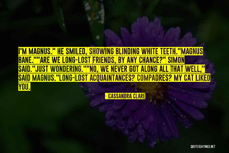 I Lost All My Friends Quotes By Cassandra Clare I Lost All My Friends Quotes By Cassandra Clare