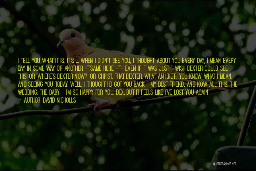 I Lost My Friend Quotes By David Nicholls