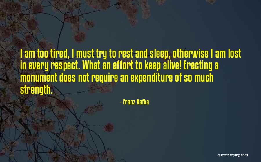 I Lost Respect Quotes By Franz Kafka I Lost Respect Quotes By Franz Kafka