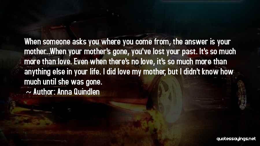 I Lost Someone I Love Quotes By Anna Quindlen