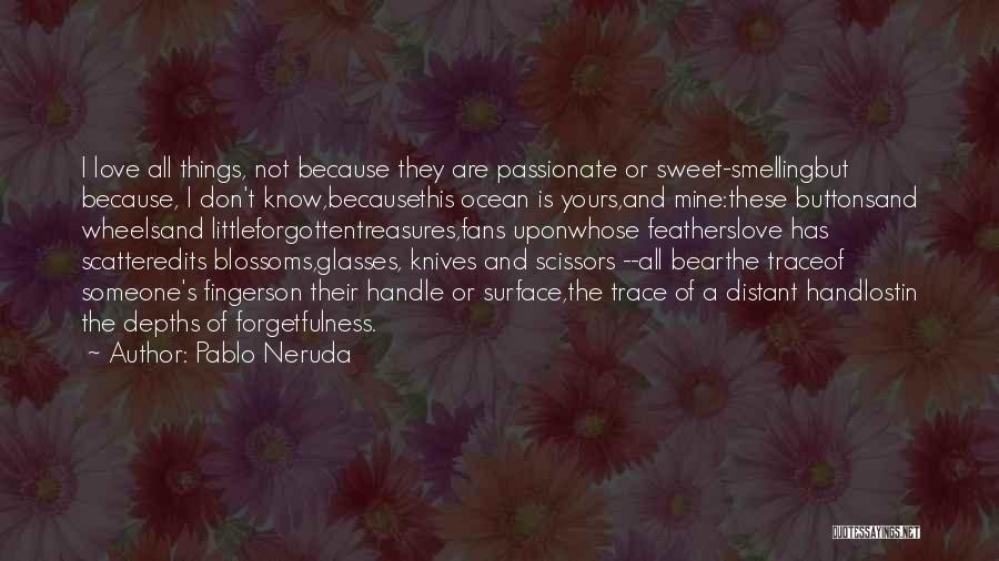 I Lost Someone I Love Quotes By Pablo Neruda