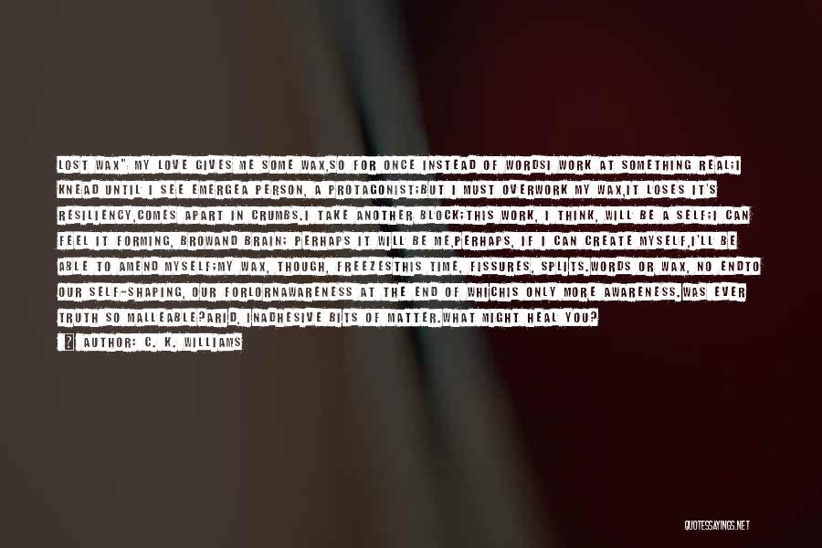 I Lost You Quotes By C. K. Williams I Lost You Quotes By C. K. Williams