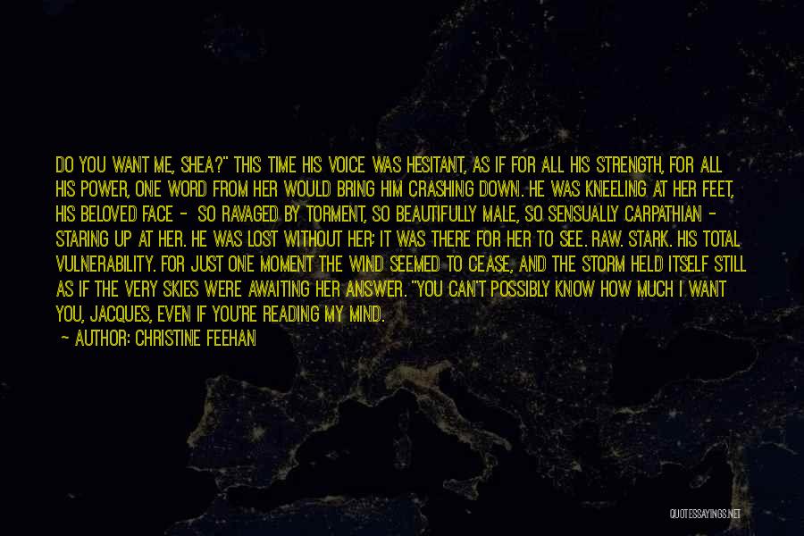 I Lost You Quotes By Christine Feehan I Lost You Quotes By Christine Feehan