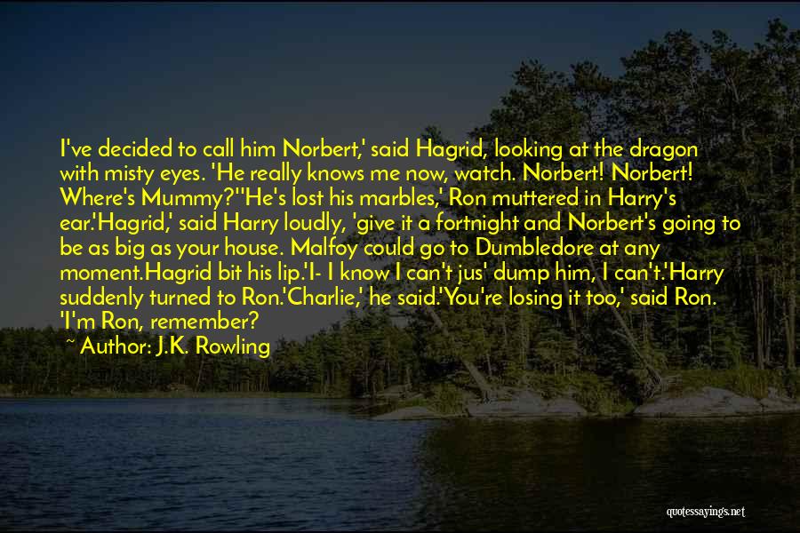 I Lost You Quotes By J.K. Rowling I Lost You Quotes By J.K. Rowling