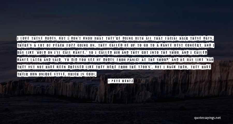 I Lot Like Love Quotes By Pete Wentz I Lot Like Love Quotes By Pete Wentz