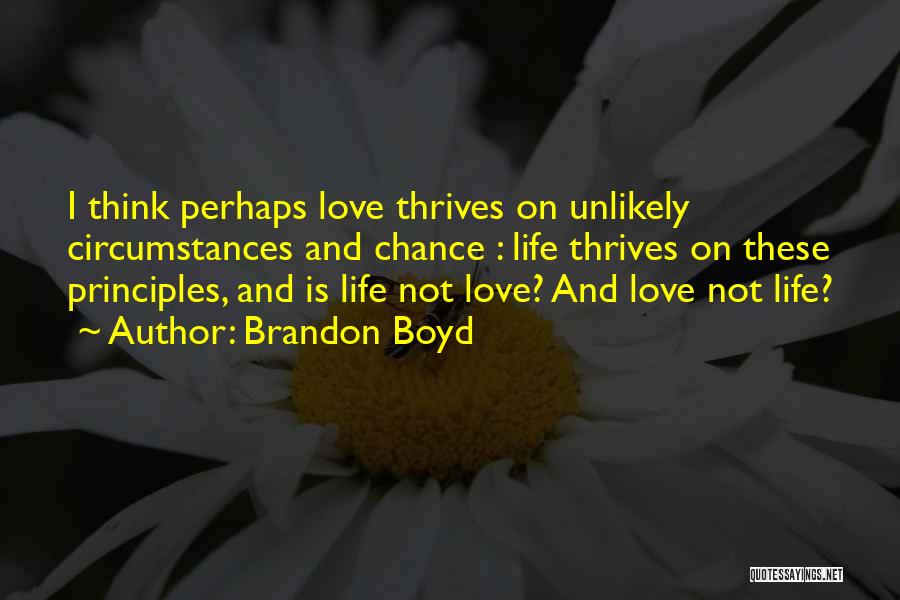 I Love Brandon Quotes By Brandon Boyd