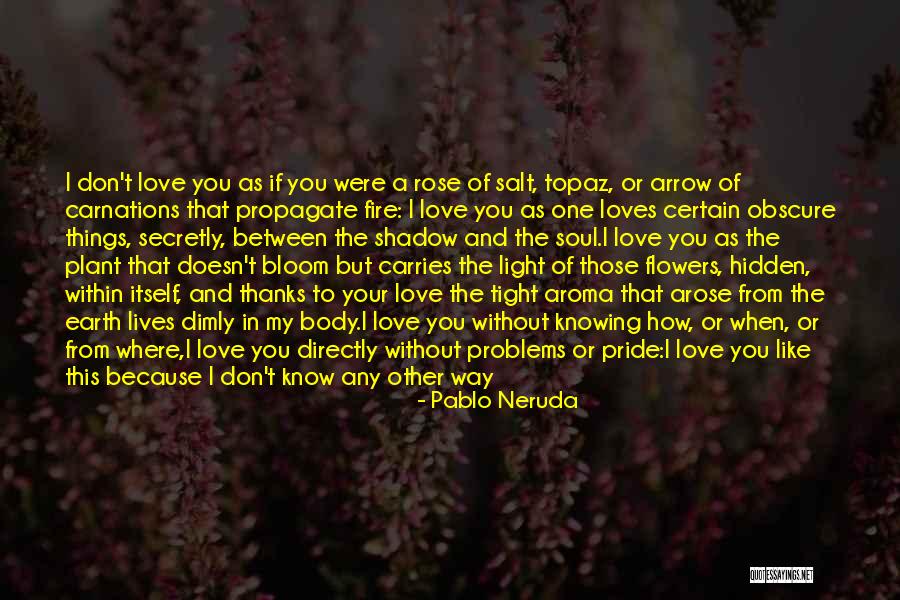 I Love Her Secretly Quotes By Pablo Neruda