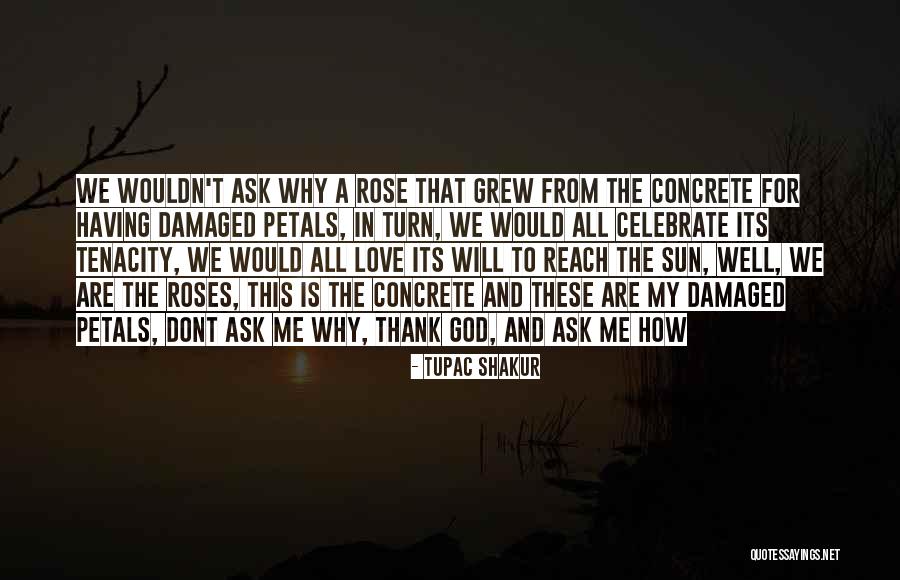 I Love Him But He Dont Quotes By Tupac Shakur I Love Him But He Dont Quotes By Tupac Shakur