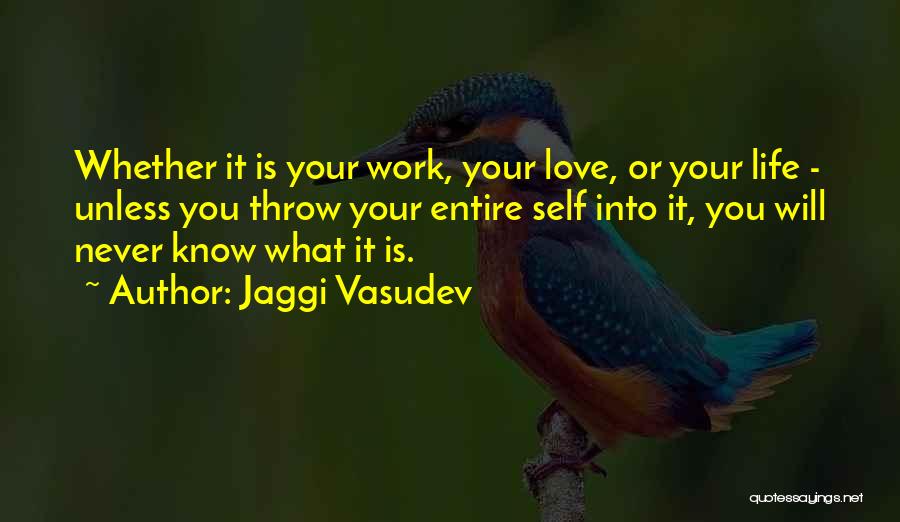 I Love Him But He Will Never Know Quotes By Jaggi Vasudev