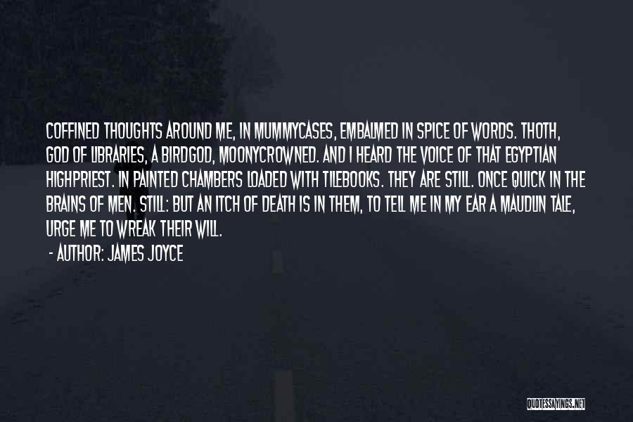 I Love Libraries Quotes By James Joyce