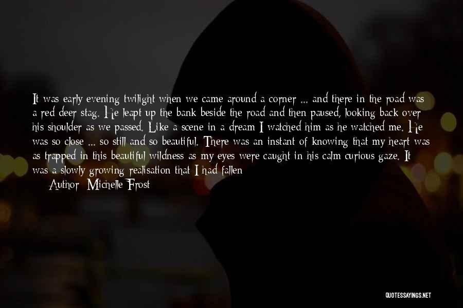 I Love My Beautiful Eyes Quotes By Michelle Frost