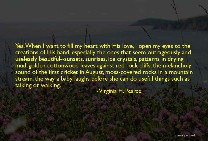 I Love My Beautiful Eyes Quotes By Virginia H. Pearce